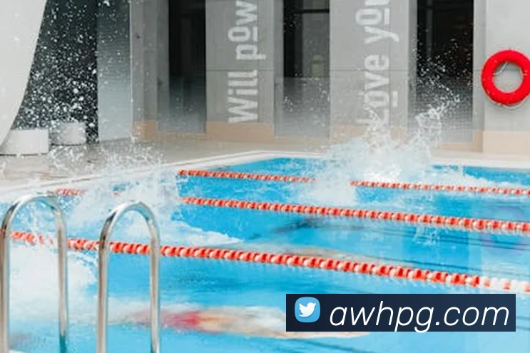 pg官网平台生态图