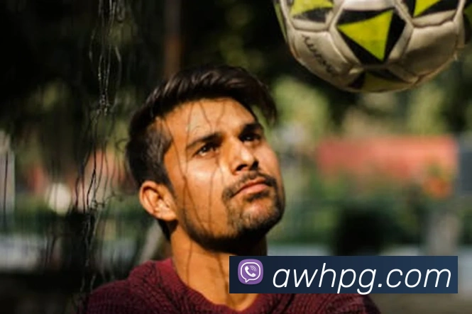 pg官网全站App pg官网全站App